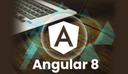 Angular 8 examples